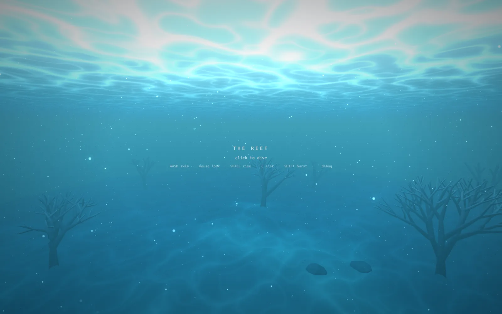 The Reef, looking down into the water